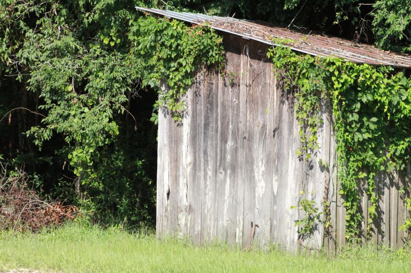 Shed Demo And Removal