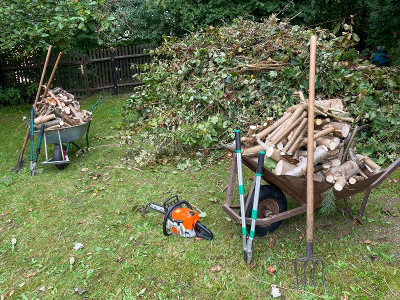 Shed Demo And Removal